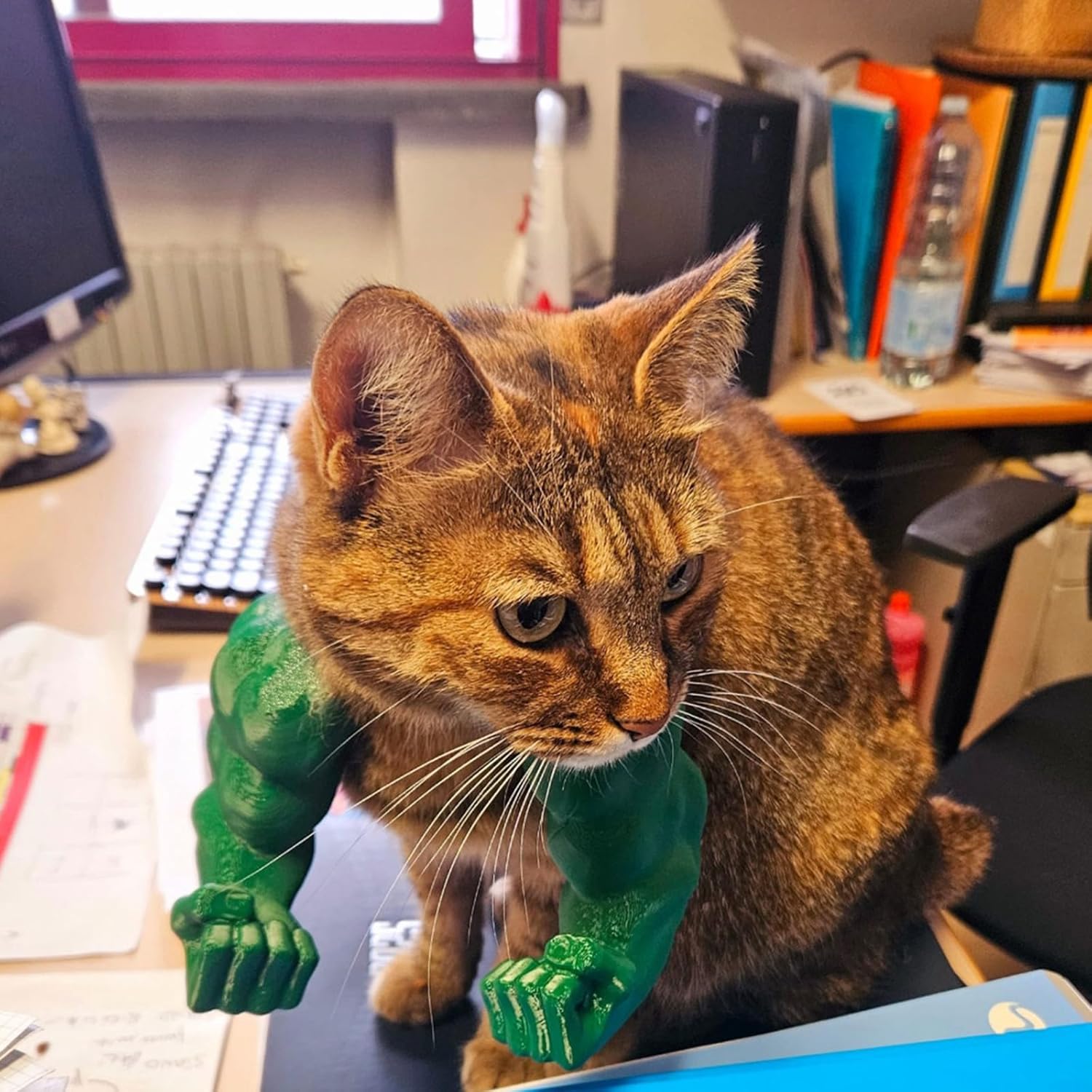 Meowscles™